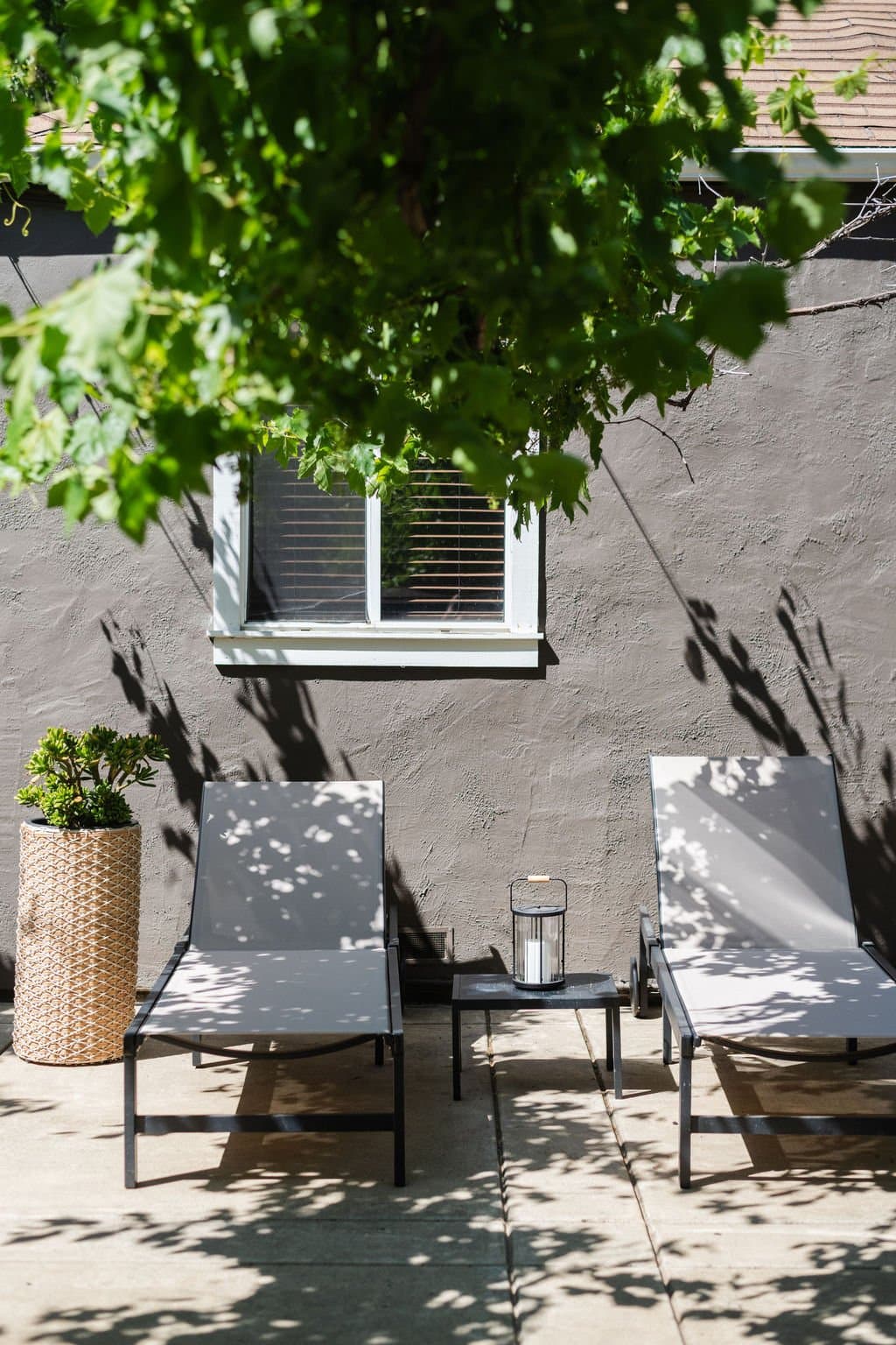 Deep Roots, Wild Soul: Art, Nature & Storytelling at Our Folsom Vacation Rental